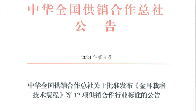 174004194276777100