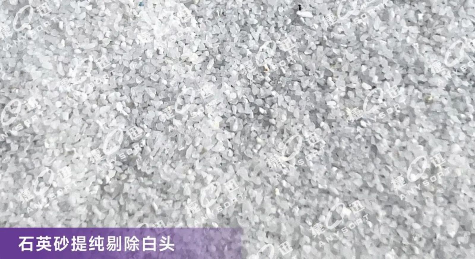 20231202235224_41658 太阳成(tyc122cc-VIP认证集团)-Official Platform