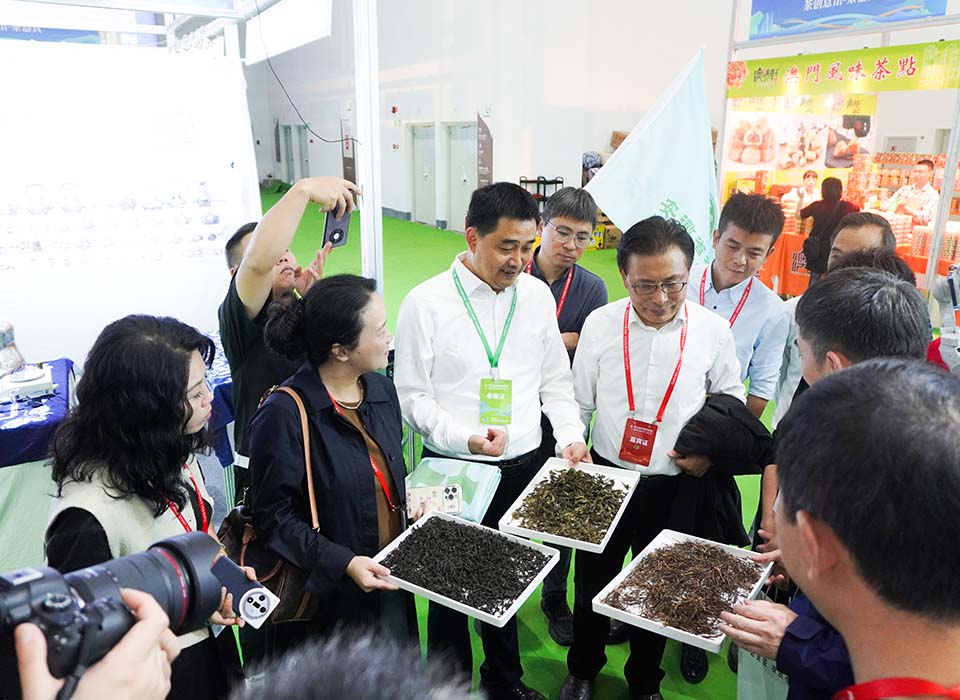 20241121112955_40858 太阳成(tyc122cc-VIP认证集团)-Official Platform