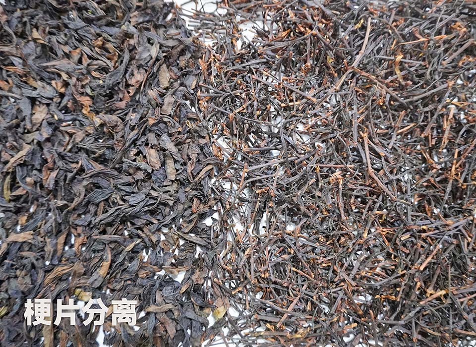 20241121113233_44731 太阳成(tyc122cc-VIP认证集团)-Official Platform