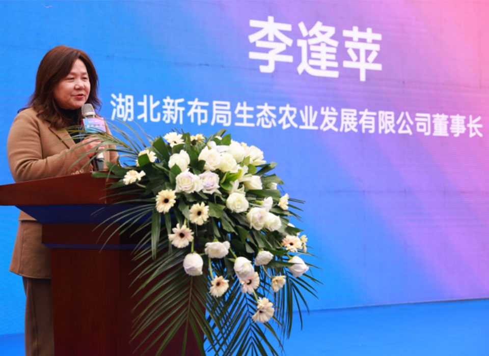 20241125093521_10243 太阳成(tyc122cc-VIP认证集团)-Official Platform