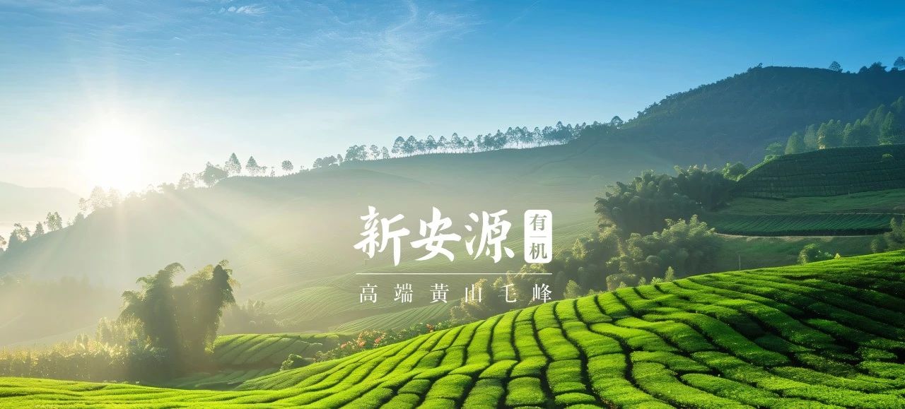 20250522111010_84820 太阳成(tyc122cc-VIP认证集团)-Official Platform